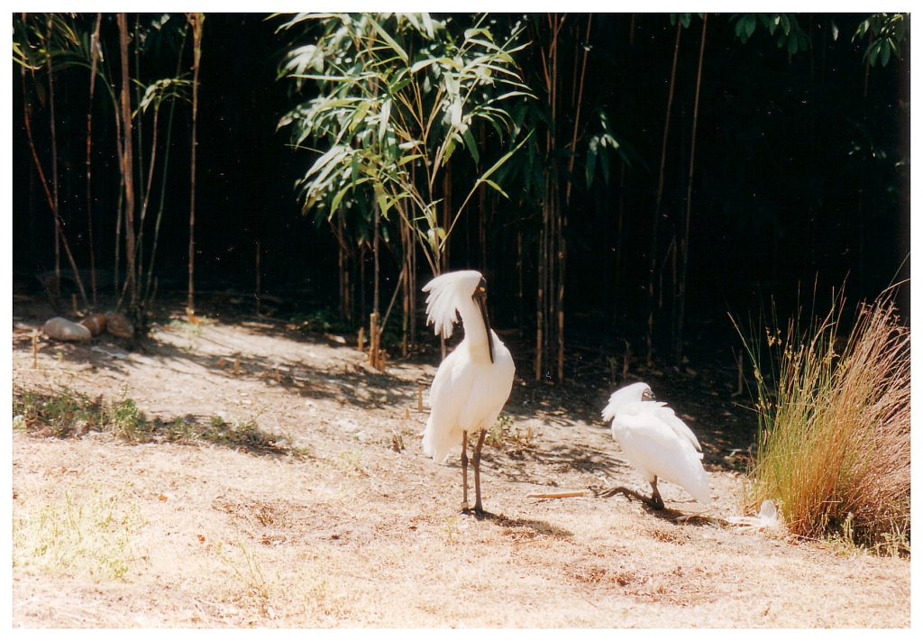 04 - Queensland (3).jpg